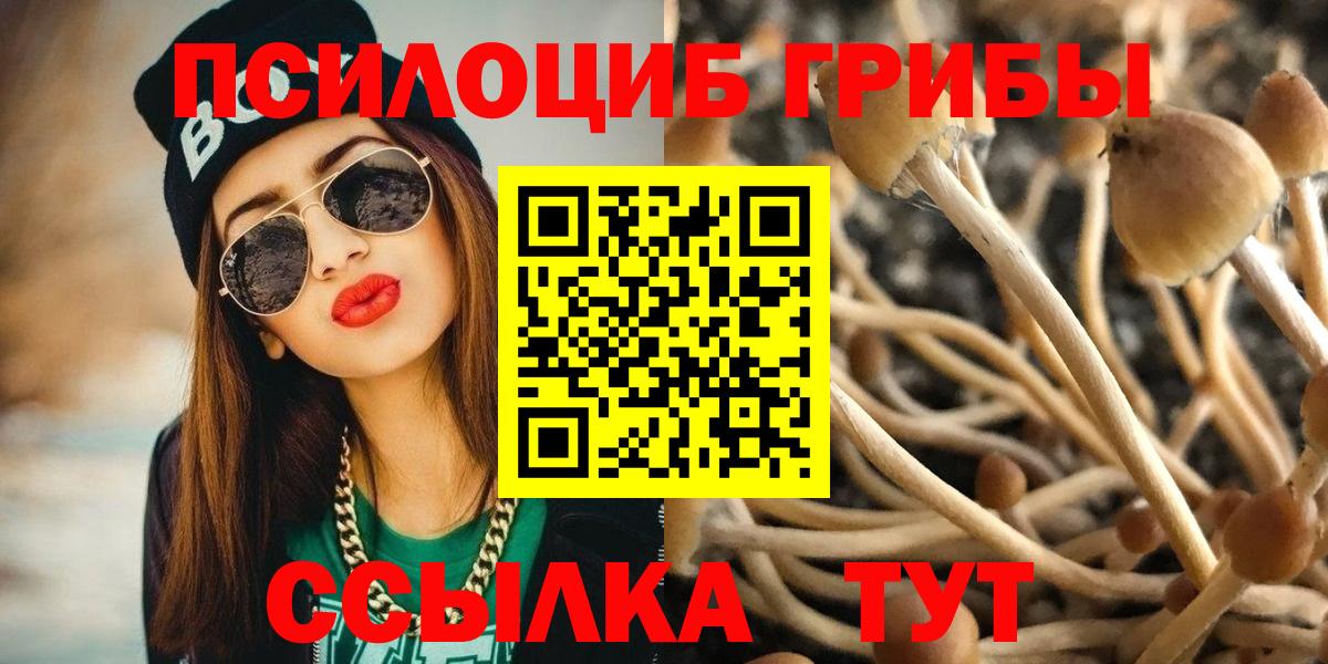 Псилоцибиновые грибы ЛСД Бугуруслан